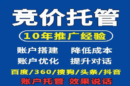 百度竞价广告投放全解析：成功案例揭秘
